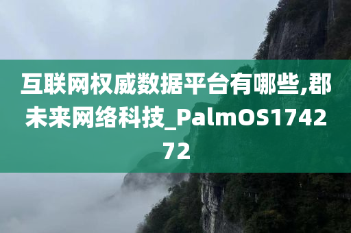 互联网权威数据平台有哪些,郡未来网络科技_PalmOS174272