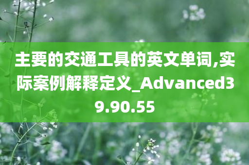 主要的交通工具的英文单词,实际案例解释定义_Advanced39.90.55