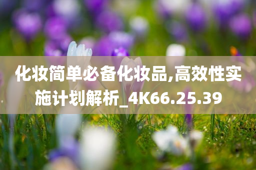 化妆简单必备化妆品,高效性实施计划解析_4K66.25.39