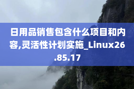 日用品销售包含什么项目和内容,灵活性计划实施_Linux26.85.17