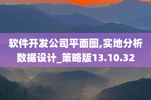 软件开发公司平面图,实地分析数据设计_策略版13.10.32