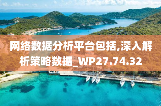 网络数据分析平台包括,深入解析策略数据_WP27.74.32