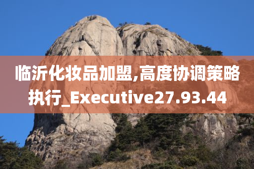 临沂化妆品加盟,高度协调策略执行_Executive27.93.44