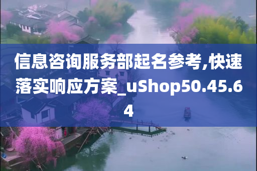 信息咨询服务部起名参考,快速落实响应方案_uShop50.45.64