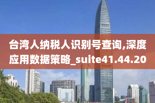 台湾人纳税人识别号查询,深度应用数据策略_suite41.44.20