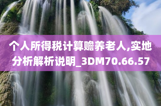 个人所得税计算赡养老人,实地分析解析说明_3DM70.66.57