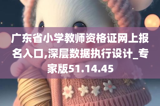 广东省小学教师资格证网上报名入口,深层数据执行设计_专家版51.14.45