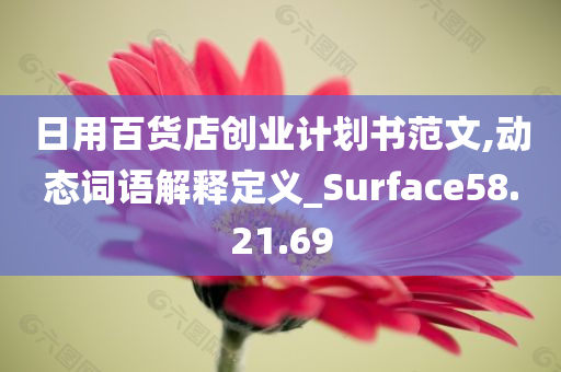 日用百货店创业计划书范文,动态词语解释定义_Surface58.21.69