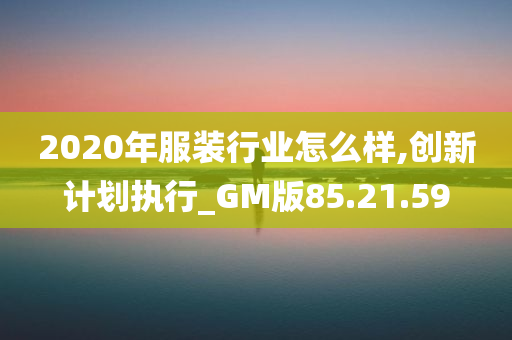 2020年服装行业怎么样,创新计划执行_GM版85.21.59