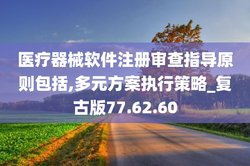 医疗器械软件注册审查指导原则包括,多元方案执行策略_复古版77.62.60