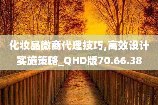 化妆品微商代理技巧,高效设计实施策略_QHD版70.66.38