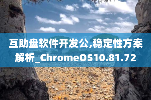 互助盘软件开发公,稳定性方案解析_ChromeOS10.81.72