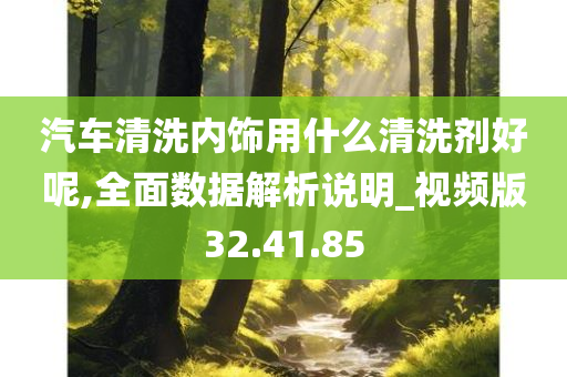 汽车清洗内饰用什么清洗剂好呢,全面数据解析说明_视频版32.41.85