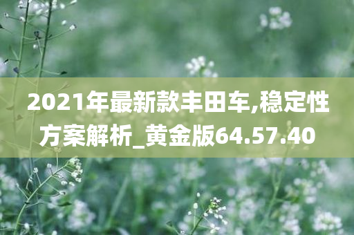 2021年最新款丰田车,稳定性方案解析_黄金版64.57.40