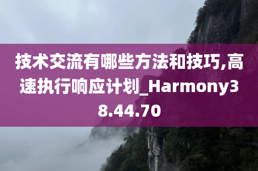 技术交流有哪些方法和技巧,高速执行响应计划_Harmony38.44.70