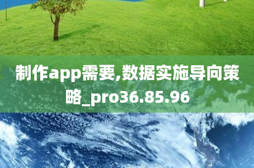 制作app需要,数据实施导向策略_pro36.85.96