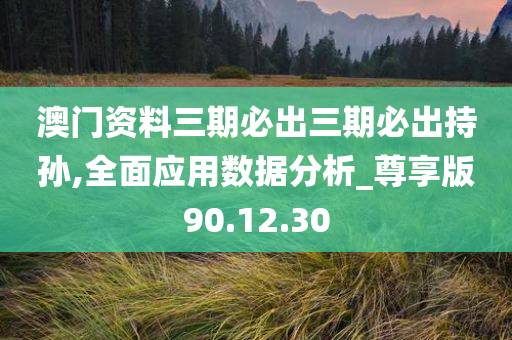 澳门资料三期必出三期必出持孙,全面应用数据分析_尊享版90.12.30