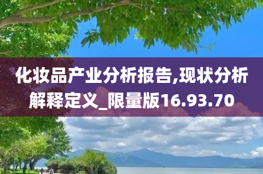 化妆品产业分析报告,现状分析解释定义_限量版16.93.70