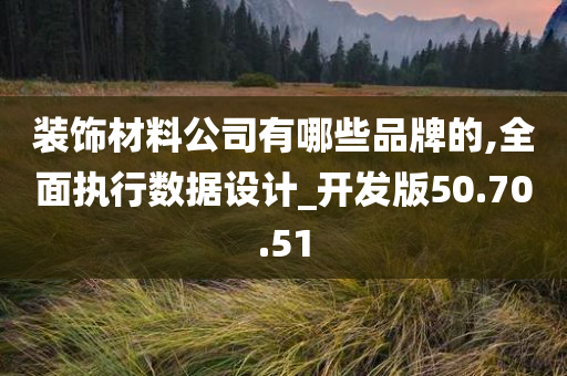 装饰材料公司有哪些品牌的,全面执行数据设计_开发版50.70.51