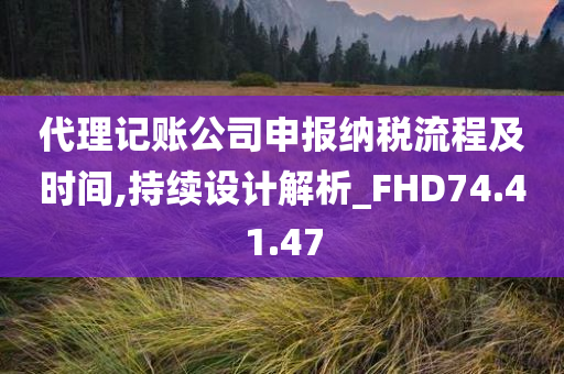 代理记账公司申报纳税流程及时间,持续设计解析_FHD74.41.47