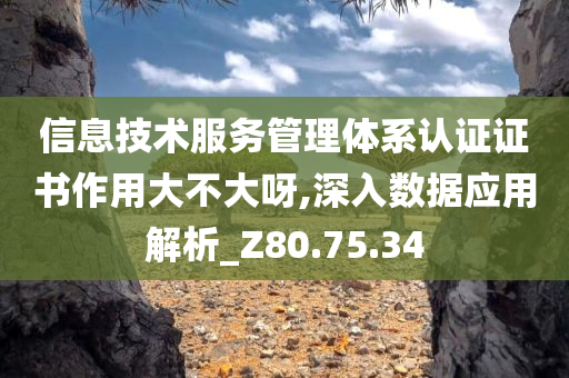 信息技术服务管理体系认证证书作用大不大呀,深入数据应用解析_Z80.75.34