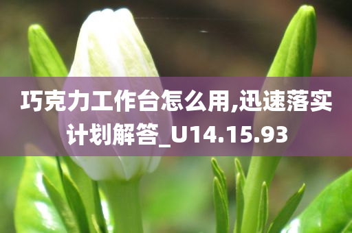 巧克力工作台怎么用,迅速落实计划解答_U14.15.93