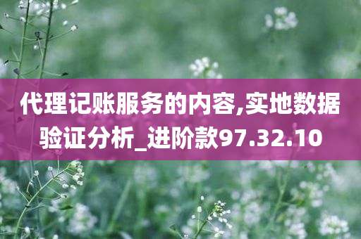 代理记账服务的内容,实地数据验证分析_进阶款97.32.10