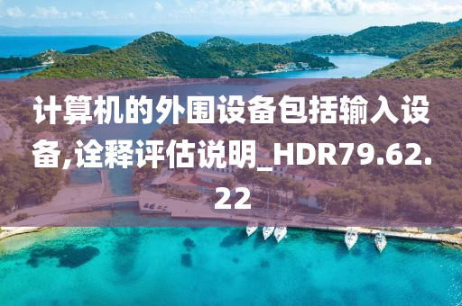 计算机的外围设备包括输入设备,诠释评估说明_HDR79.62.22