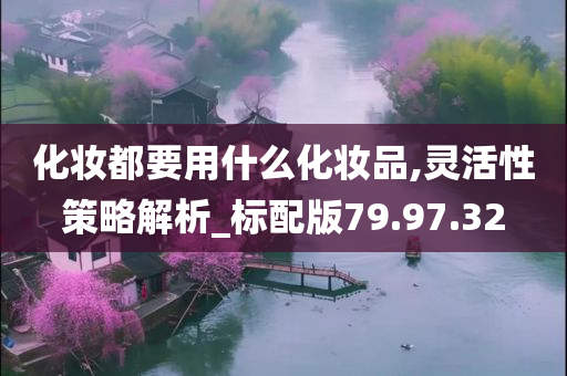 化妆都要用什么化妆品,灵活性策略解析_标配版79.97.32