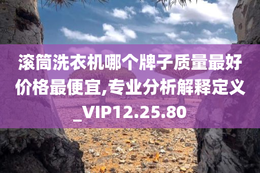 滚筒洗衣机哪个牌子质量最好价格最便宜,专业分析解释定义_VIP12.25.80