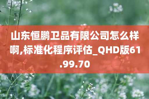 山东恒鹏卫品有限公司怎么样啊,标准化程序评估_QHD版61.99.70