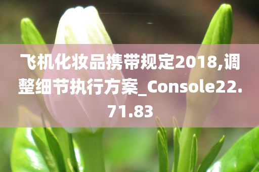 飞机化妆品携带规定2018,调整细节执行方案_Console22.71.83