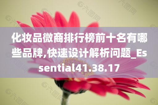 化妆品微商排行榜前十名有哪些品牌,快速设计解析问题_Essential41.38.17