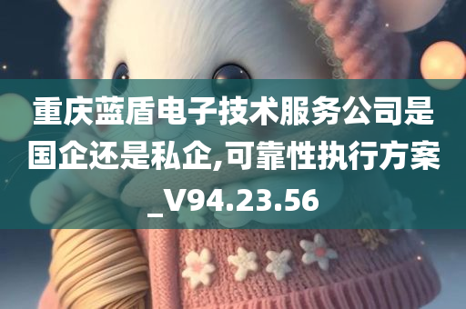 重庆蓝盾电子技术服务公司是国企还是私企,可靠性执行方案_V94.23.56