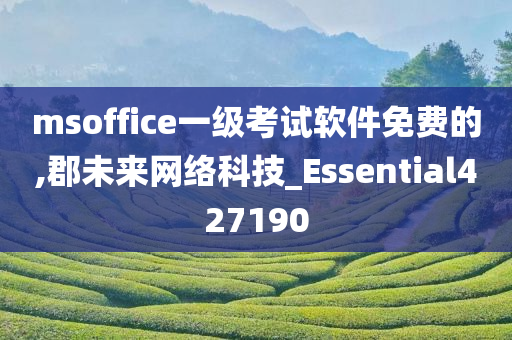 msoffice一级考试软件免费的,郡未来网络科技_Essential427190