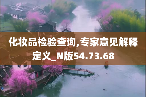 化妆品检验查询,专家意见解释定义_N版54.73.68