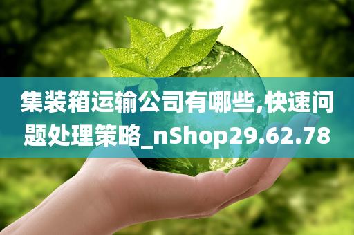 集装箱运输公司有哪些,快速问题处理策略_nShop29.62.78