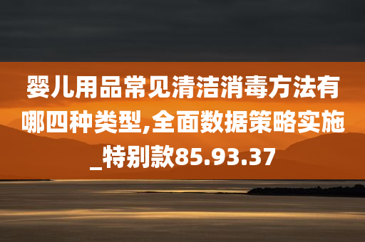 婴儿用品常见清洁消毒方法有哪四种类型,全面数据策略实施_特别款85.93.37