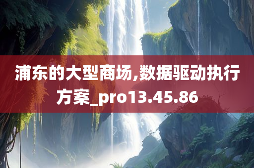 浦东的大型商场,数据驱动执行方案_pro13.45.86