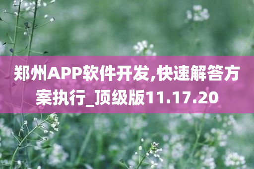 郑州APP软件开发,快速解答方案执行_顶级版11.17.20