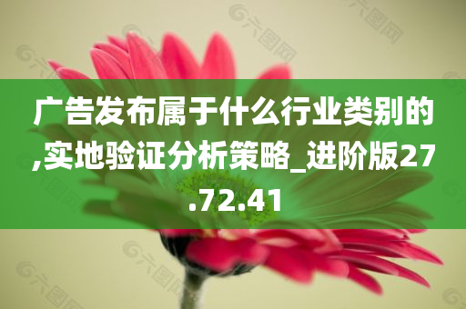 广告发布属于什么行业类别的,实地验证分析策略_进阶版27.72.41