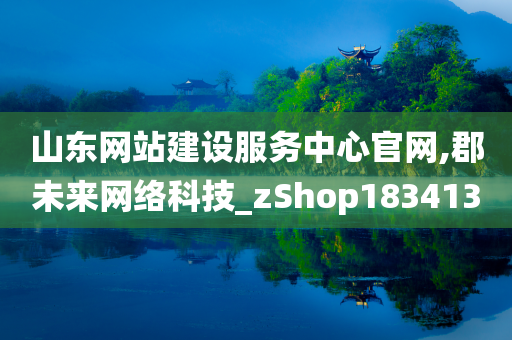 山东网站建设服务中心官网,郡未来网络科技_zShop183413