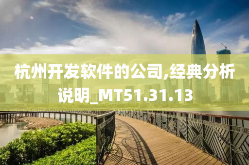 杭州开发软件的公司,经典分析说明_MT51.31.13