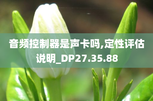 音频控制器是声卡吗,定性评估说明_DP27.35.88