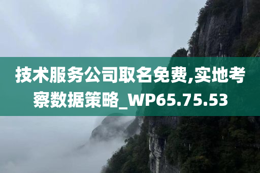 技术服务公司取名免费,实地考察数据策略_WP65.75.53