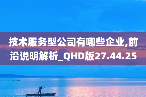 技术服务型公司有哪些企业,前沿说明解析_QHD版27.44.25