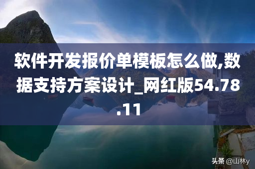 软件开发报价单模板怎么做,数据支持方案设计_网红版54.78.11