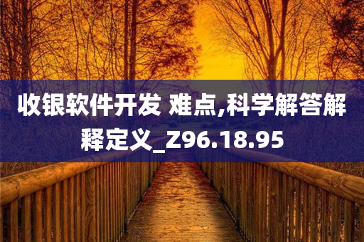 收银软件开发 难点,科学解答解释定义_Z96.18.95