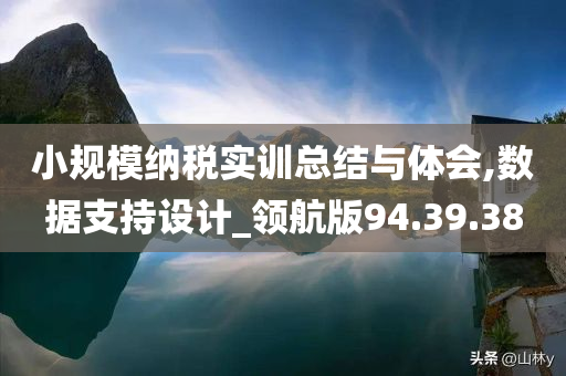 小规模纳税实训总结与体会,数据支持设计_领航版94.39.38