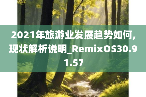 2021年旅游业发展趋势如何,现状解析说明_RemixOS30.91.57